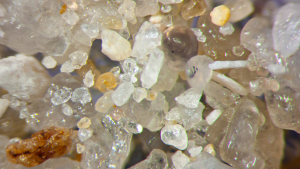 Sand grains under microscope
